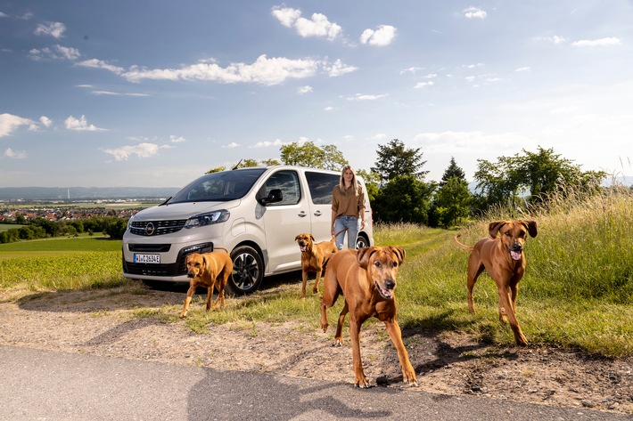 Zum Welthundetag: Auch Vierbeiner lieben den Opel Zafira-e Life